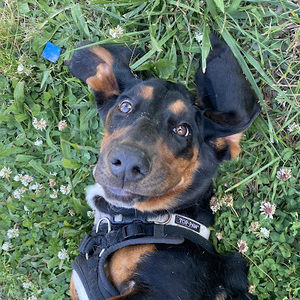 Meet your Posher, Aaron